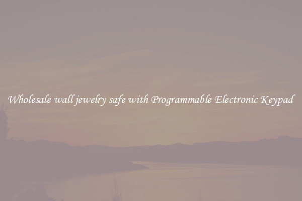 Wholesale wall jewelry safe with Programmable Electronic Keypad 