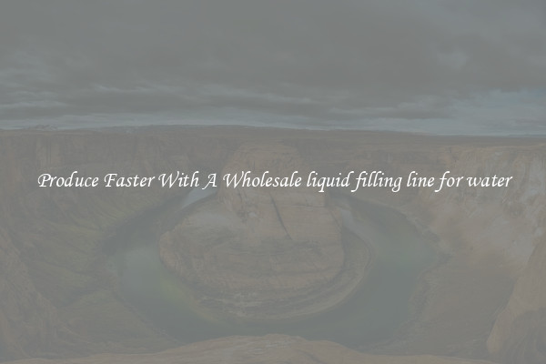 Produce Faster With A Wholesale liquid filling line for water