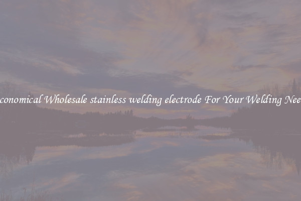 Economical Wholesale stainless welding electrode For Your Welding Needs