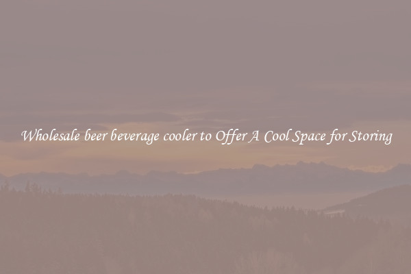 Wholesale beer beverage cooler to Offer A Cool Space for Storing