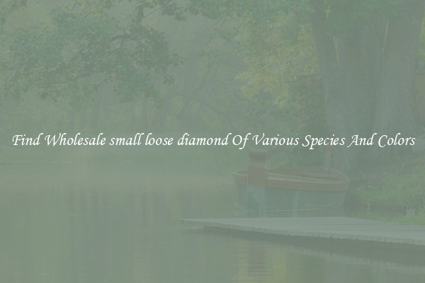 Find Wholesale small loose diamond Of Various Species And Colors