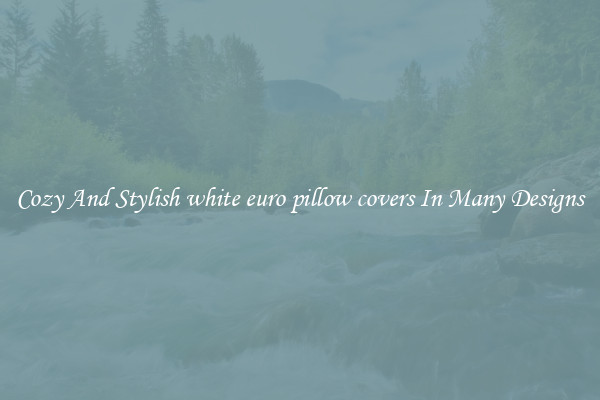 Cozy And Stylish white euro pillow covers In Many Designs