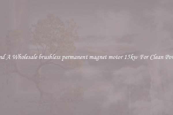 Find A Wholesale brushless permanent magnet motor 15kw For Clean Power