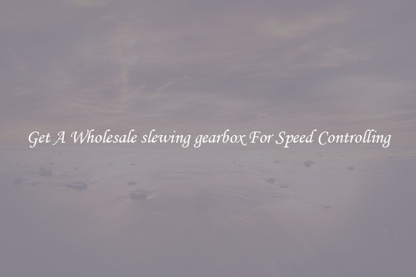 Get A Wholesale slewing gearbox For Speed Controlling
