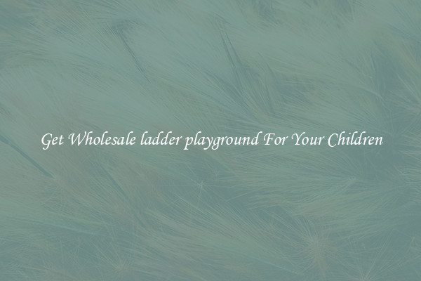 Get Wholesale ladder playground For Your Children