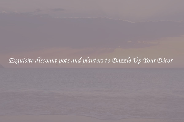Exquisite discount pots and planters to Dazzle Up Your Décor  