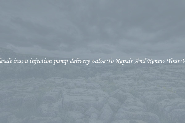 Wholesale isuzu injection pump delivery valve To Repair And Renew Your Vehicle