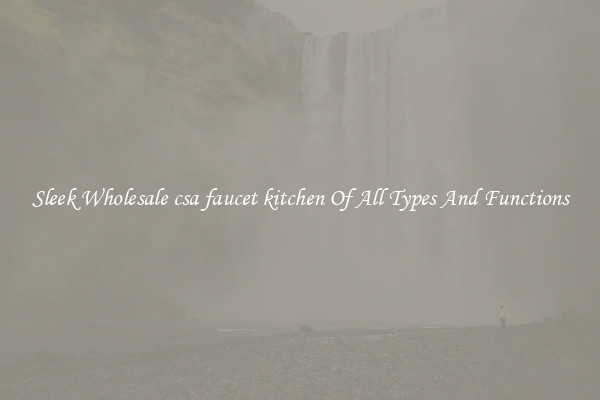 Sleek Wholesale csa faucet kitchen Of All Types And Functions