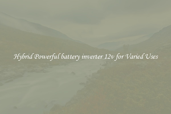 Hybrid Powerful battery inverter 12v for Varied Uses