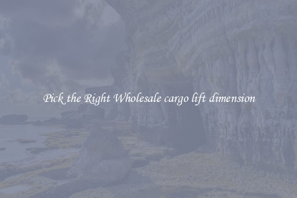 Pick the Right Wholesale cargo lift dimension