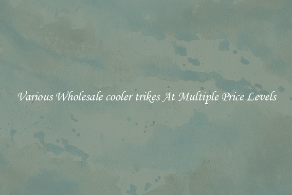 Various Wholesale cooler trikes At Multiple Price Levels
