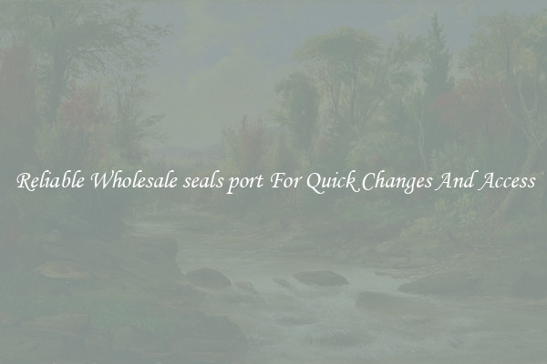 Reliable Wholesale seals port For Quick Changes And Access