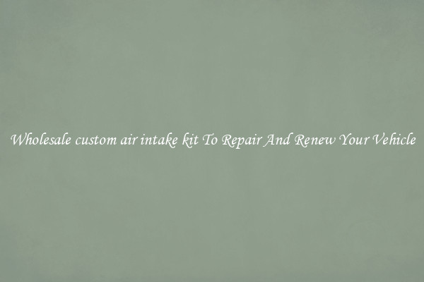 Wholesale custom air intake kit To Repair And Renew Your Vehicle