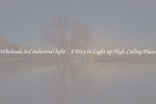 Wholesale lvd industrial light - A Way to Light up High-Ceiling Places