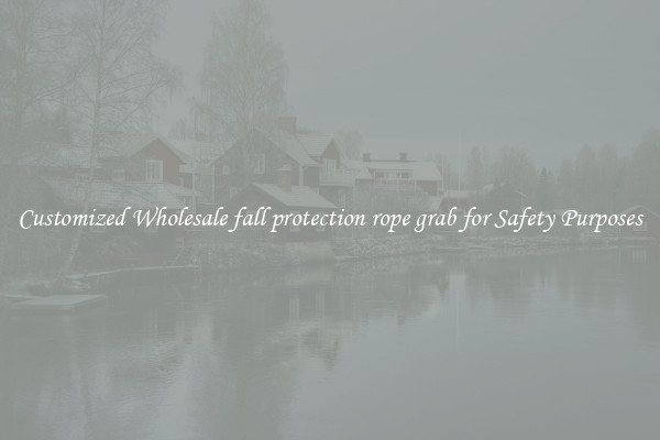 Customized Wholesale fall protection rope grab for Safety Purposes