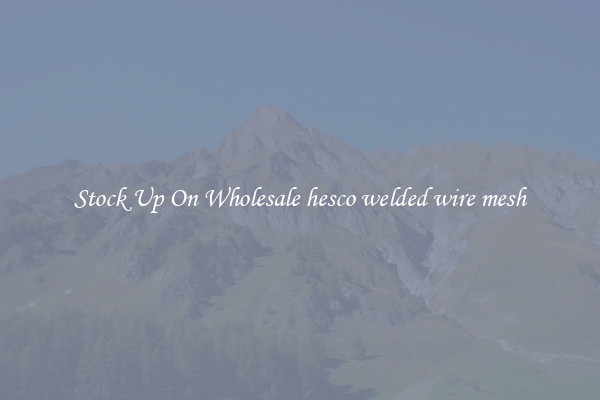 Stock Up On Wholesale hesco welded wire mesh